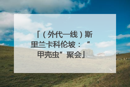 （外代一线）斯里兰卡科伦坡：“甲壳虫”聚会