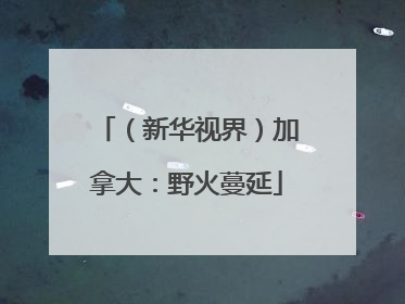 （新华视界）加拿大：野火蔓延