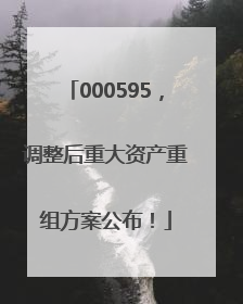 000595，调整后重大资产重组方案公布！
