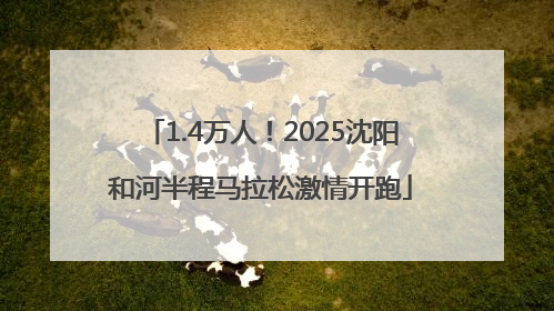 1.4万人！2025沈阳和河半程马拉松激情开跑