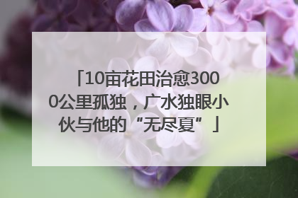 10亩花田治愈3000公里孤独，广水独眼小伙与他的“无尽夏”