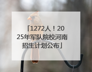 1272人！2025年军队院校河南招生计划公布