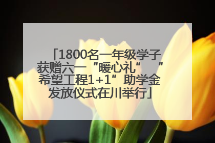 1800名一年级学子获赠六一“暖心礼” “希望工程1+1”助学金发放仪式在川举行