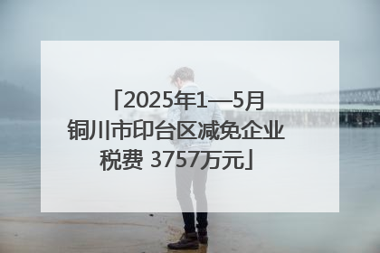 2025年1—5月铜川市印台区减免企业税费 3757万元