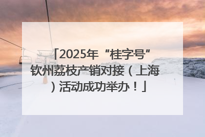 2025年“桂字号”钦州荔枝产销对接（上海）活动成功举办！