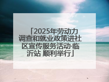 2025年劳动力调查和就业政策进社区宣传服务活动·临沂站 顺利举行