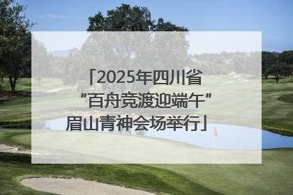 2025年四川省“百舟竞渡迎端午”眉山青神会场举行