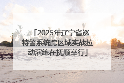 2025年辽宁省巡特警系统跨区域实战拉动演练在抚顺举行