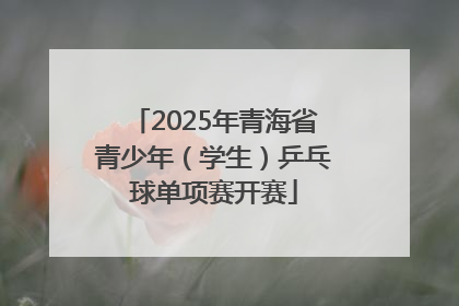 2025年青海省青少年（学生）乒乓球单项赛开赛