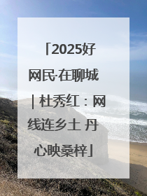 2025好网民·在聊城｜杜秀红：网线连乡土 丹心映桑梓