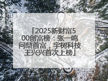 2025新财富500创富榜：张一鸣问鼎首富，宇树科技王兴兴首次上榜
