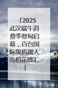 2025武汉端午消费季蔡甸启幕，百台国际级机器人亮相花博汇