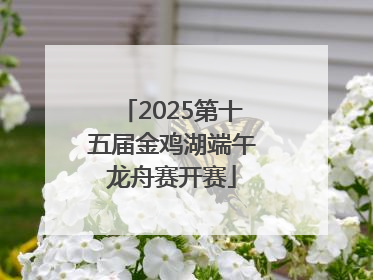 2025第十五届金鸡湖端午龙舟赛开赛