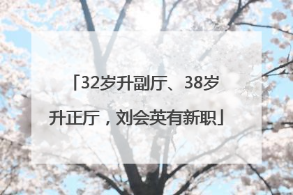 32岁升副厅、38岁升正厅，刘会英有新职