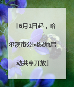 6月1日起，哈尔滨市公园绿地启动共享开放