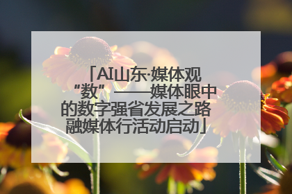 AI山东·媒体观“数”——媒体眼中的数字强省发展之路融媒体行活动启动
