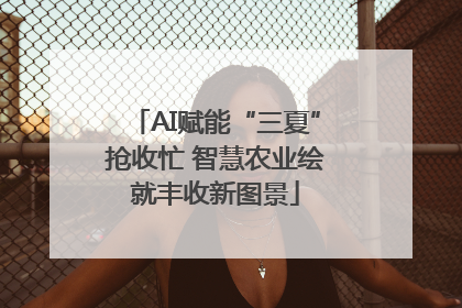 AI赋能“三夏”抢收忙 智慧农业绘就丰收新图景