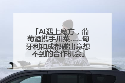 AI遇上魔方，葡萄酒携手川菜……匈牙利和成都碰出意想不到的合作机会