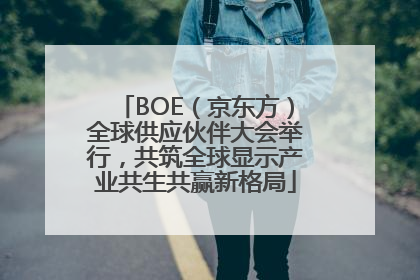 BOE（京东方）全球供应伙伴大会举行，共筑全球显示产业共生共赢新格局