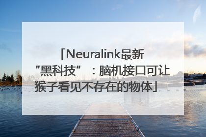 Neuralink最新“黑科技”：脑机接口可让猴子看见不存在的物体