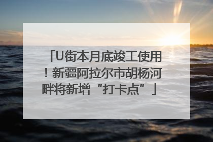 U街本月底竣工使用！新疆阿拉尔市胡杨河畔将新增“打卡点”